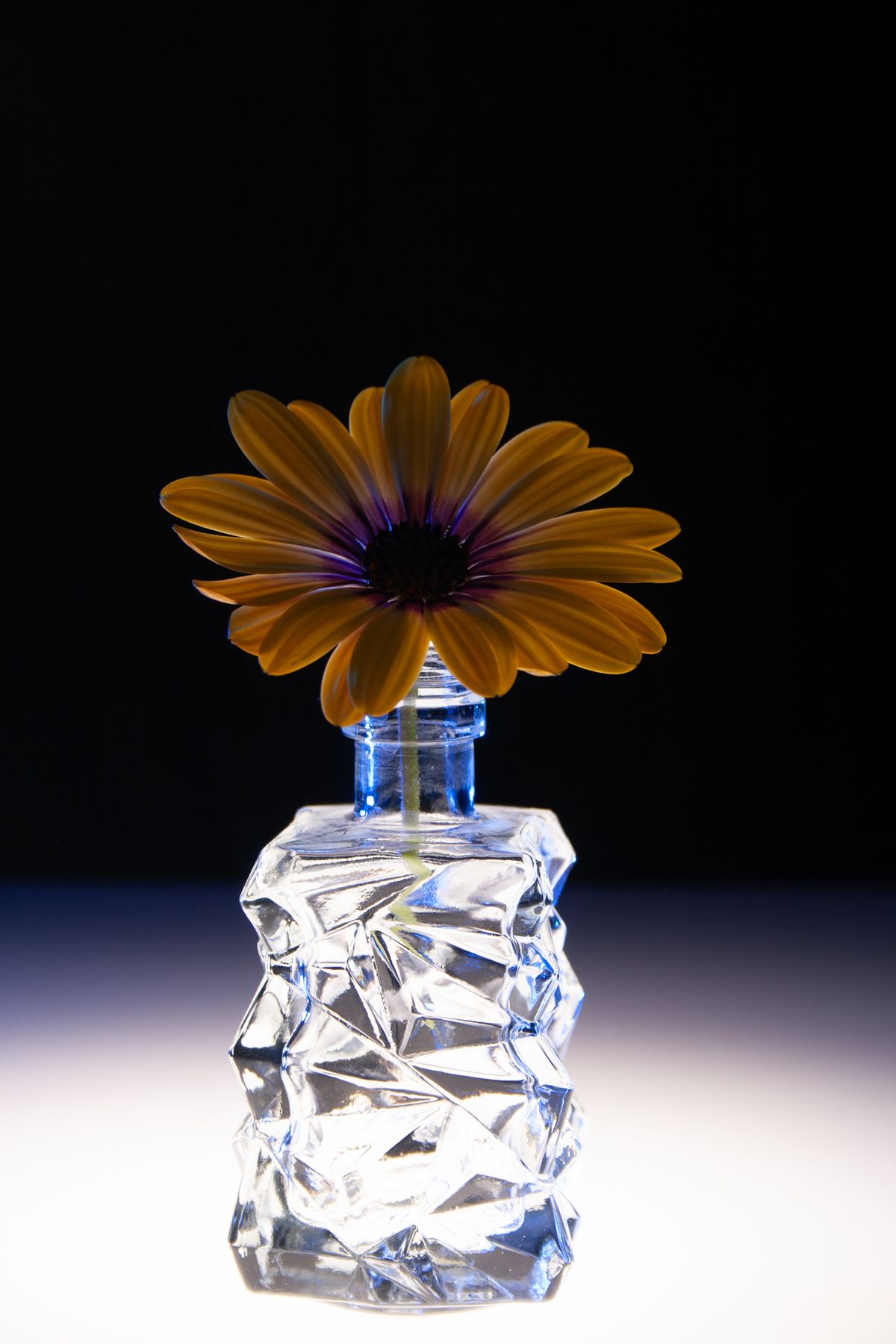 La Flor de Mi Familia